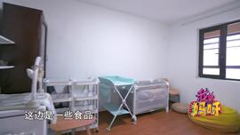 我的妈呀｜百万粉丝博主揭秘自媒体行业“内幕”