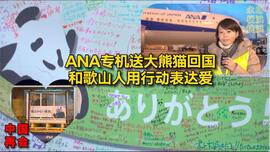 ANA专机送大熊猫回国 和歌山人用行动表达爱