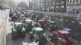 比利時農民游行 抗議政府限制農牧業氮肥使用