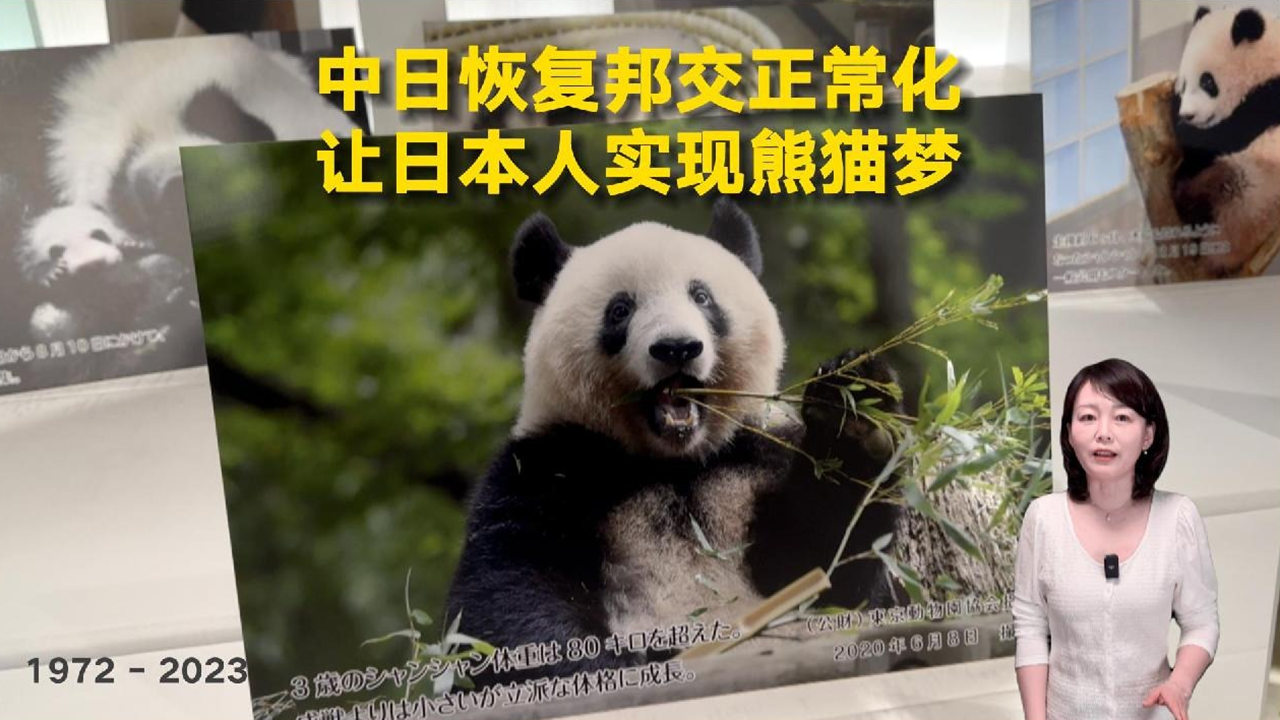 中日恢复邦交正常化 日本人实现熊猫梦