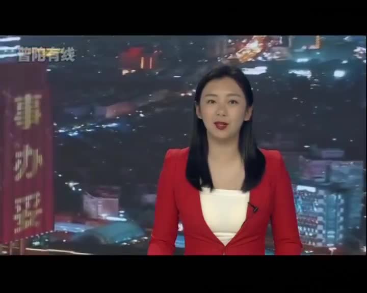 20230606普陀新闻视频