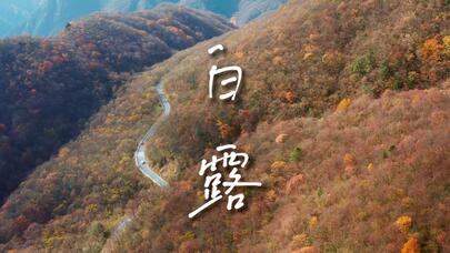 侧耳 | 时节之页·白露