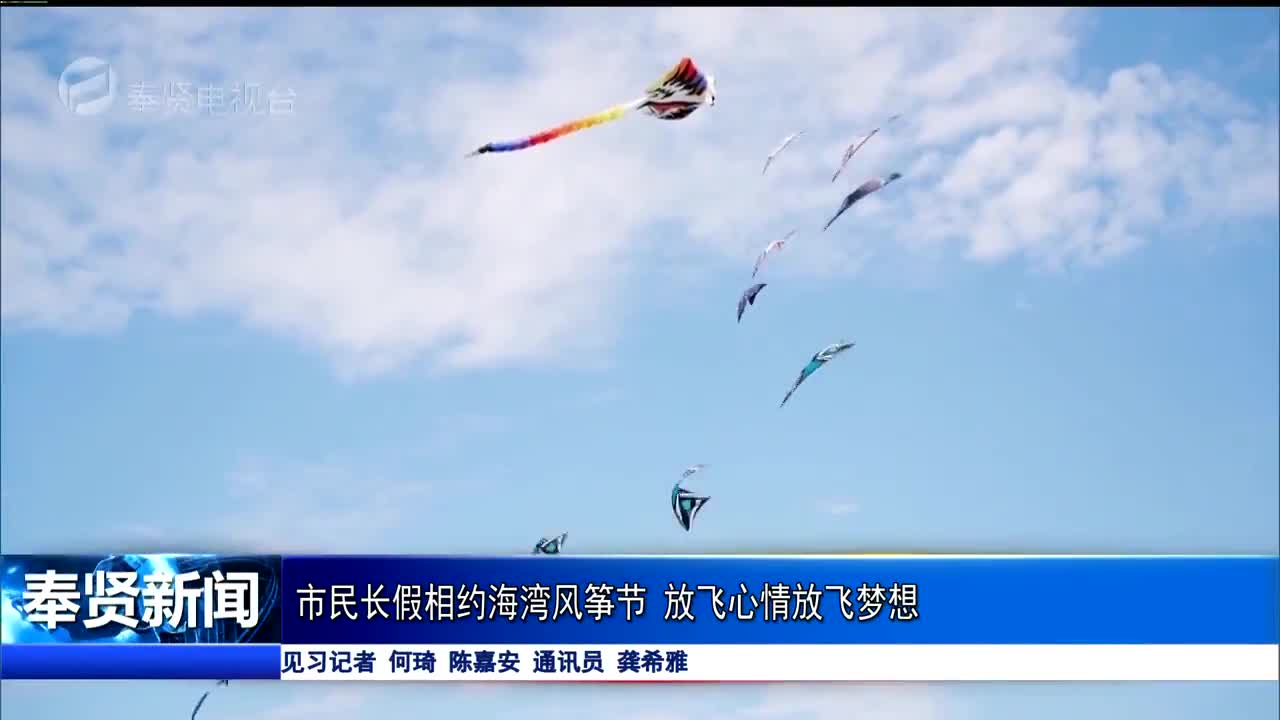 中国海湾风筝放飞场图片