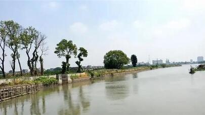 长三角一体化发展“田野调查”：太浦河上的河长