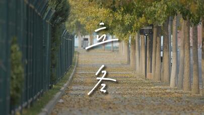 时节之页·立冬