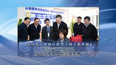 陈吉宁调研金山区 指导开展第二批主题教育