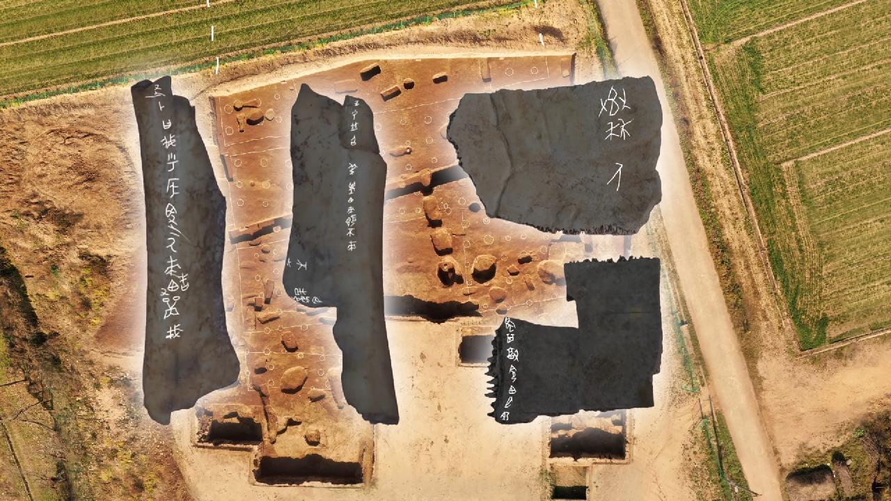 周原遗址新出土甲骨 历史碎片印刻周人建都传奇