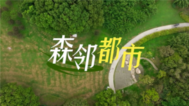 阿拉看绿容 森邻都市