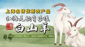 江海灵韵育珍馐——崇明白山羊