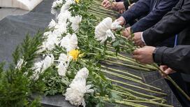 清明假期共接待现场祭扫群众6273.4万人次 绿色低碳祭扫占比超六成