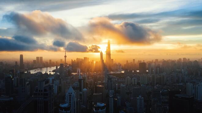 这里是上海丨以平凡双手 聚非凡之力