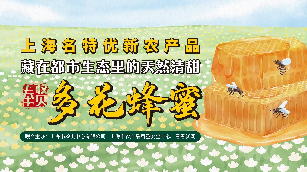 藏在都市生态里的天然清甜——奉贤多花蜂蜜