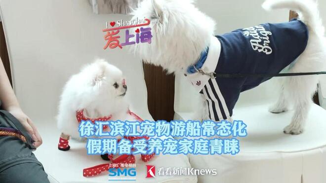 徐汇滨江宠物游船常态化 假期备受养宠家庭青睐