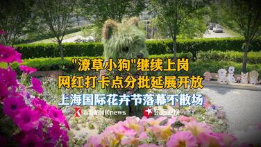 “潦草小狗”继续上岗 上海国际花卉节落幕不散场