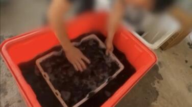 暗访福建杨梅收购点 违规添加防腐剂甜味剂泛滥