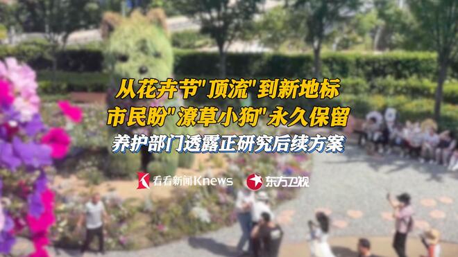 市民盼“潦草小狗”永久保留 养护部门：正研究方案