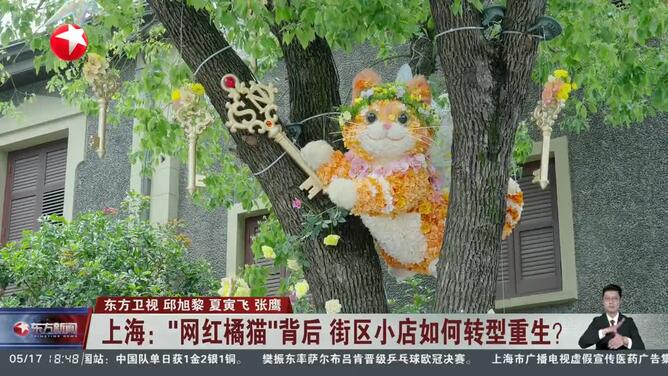 上海：“网红橘猫”背后 街区小店如何转型重生？