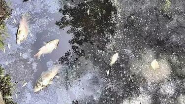 武汉一村585人中62人患癌！疑村头化工厂排污