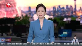 从“硬连接”到“软联通”长三角用制度创新绘就“新画卷”