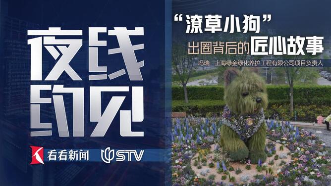 夜线约见：“潦草小狗”出圈背后的匠心故事