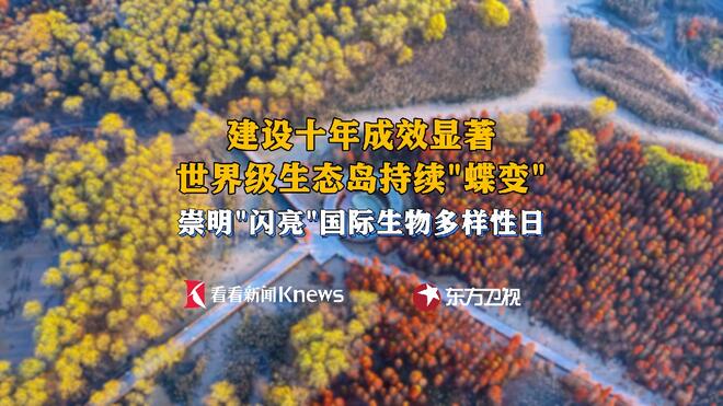 国际生物多样性日主场为何选在上海崇明？