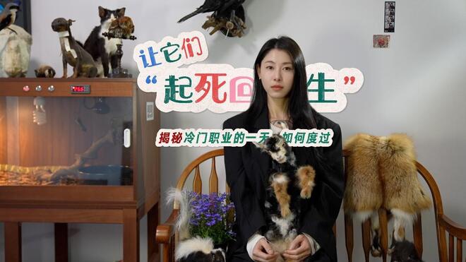 95后女生从事冷门职业 巧手让动物“起死回生”