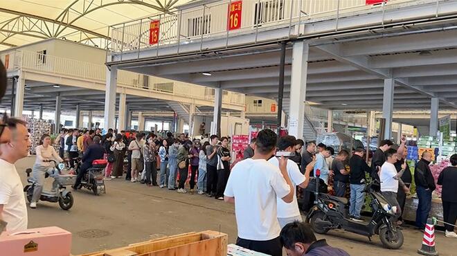 水果档口老板免费送杨梅：烂在树上很可惜