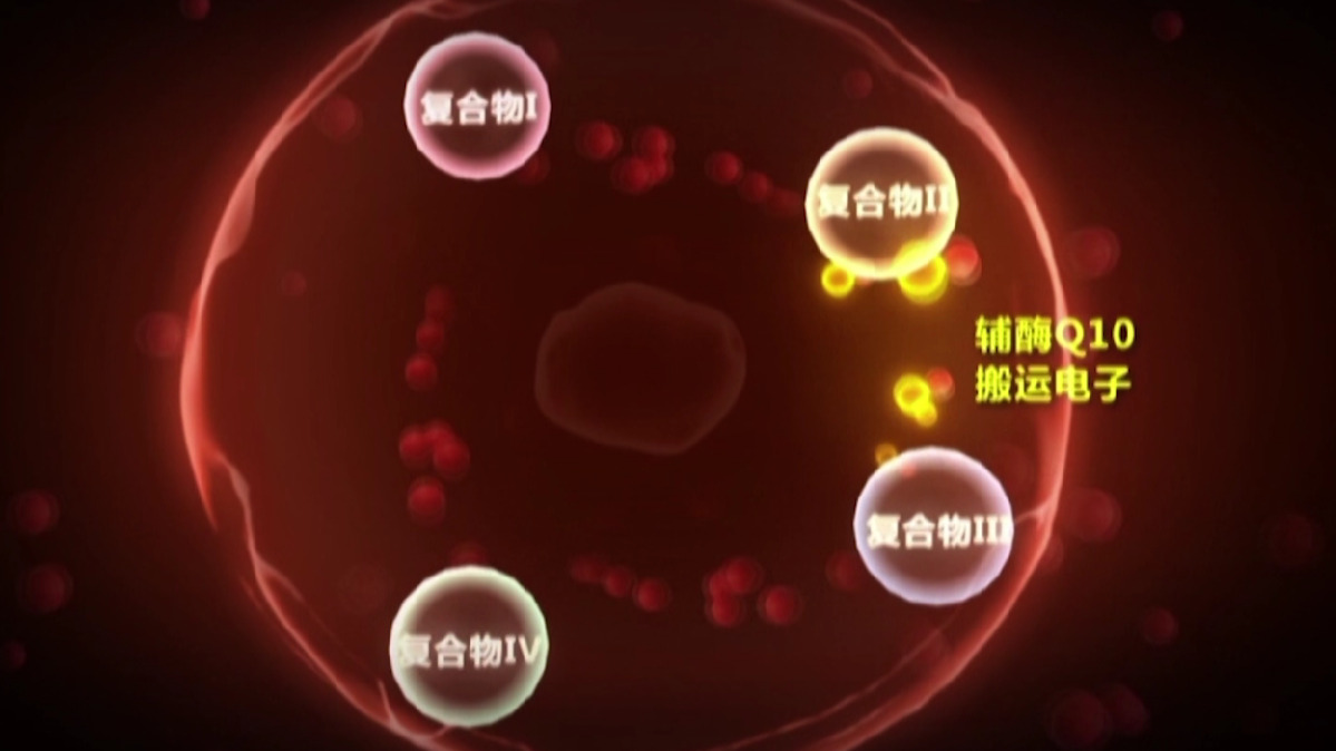 诺惠辅酶Q10