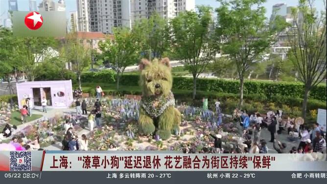 上海：“潦草小狗”延迟退休 花艺融合为街区持续“保鲜”