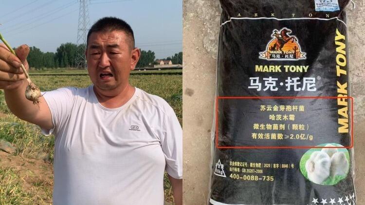 22家蒜农用同款菌肥几近绝收 背后是三道维权坎