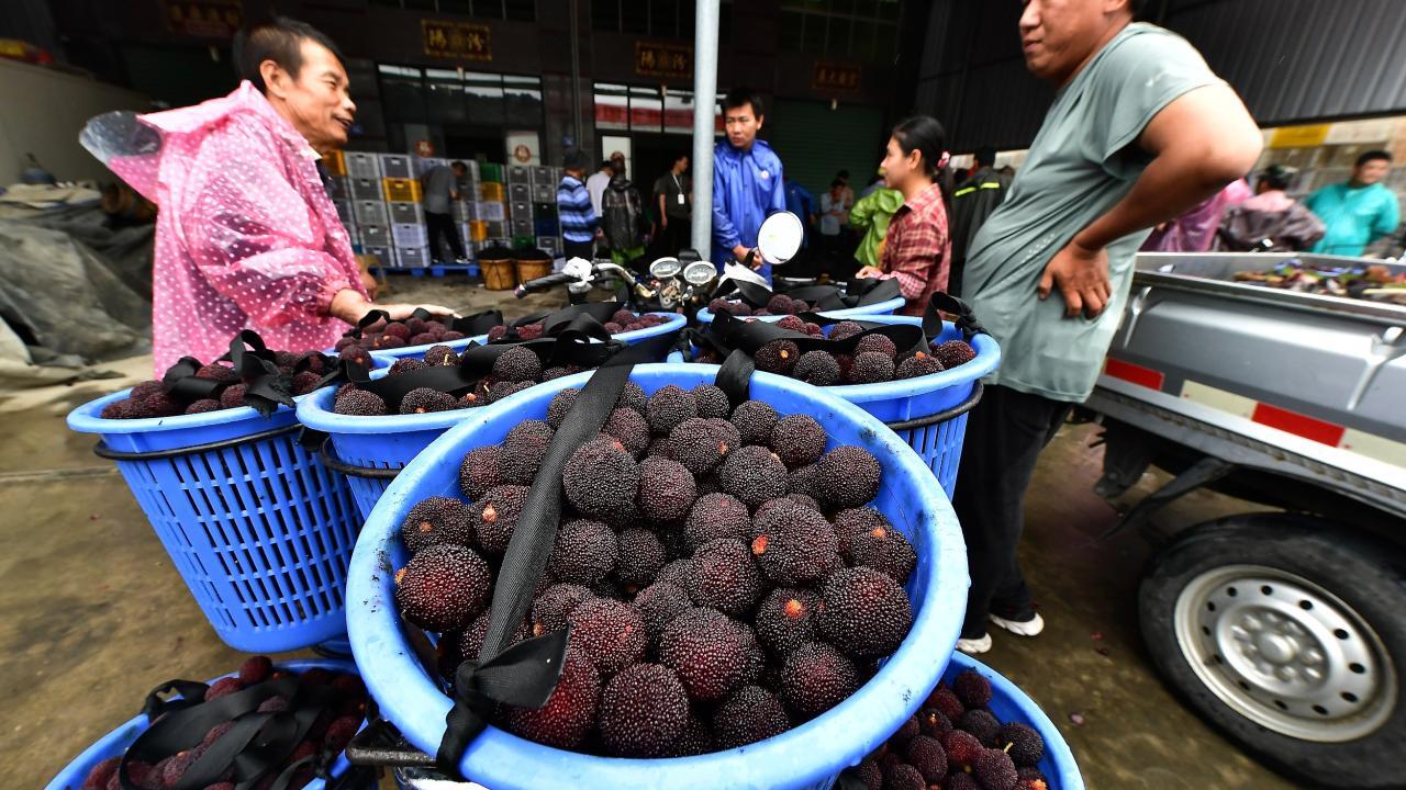 “泡药杨梅”问责出炉 模糊通报换不回消费者信任