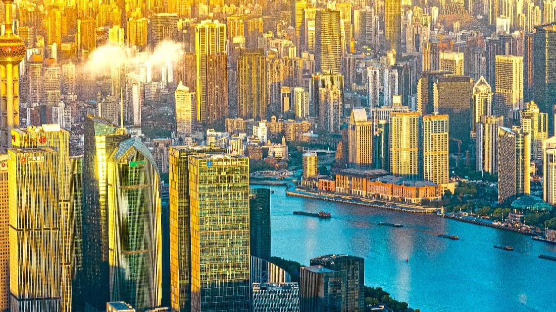 全球顶级创作者为何齐聚上海——写在TCG盛典开幕之际