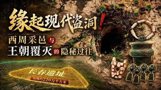 一处盗洞揭秘西周采邑与王朝覆灭的隐秘过往