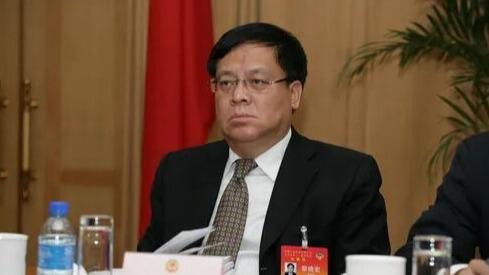 中央巡视工作领导小组办公室原主任黎晓宏被查