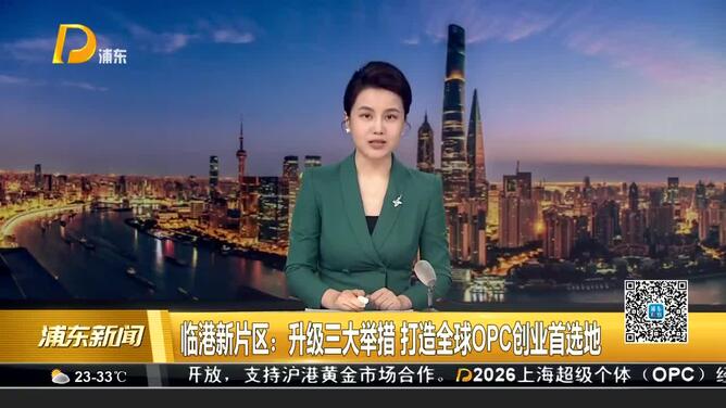 临港新片区：升级三大举措 打造全球OPC创业首选地