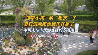 夏日换装ing!清凉版“潦草小狗”周末与公众见面