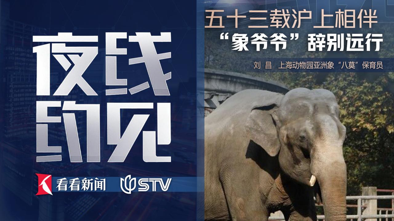 夜线约见：五十三载沪上相伴，“象爷爷”辞别远行