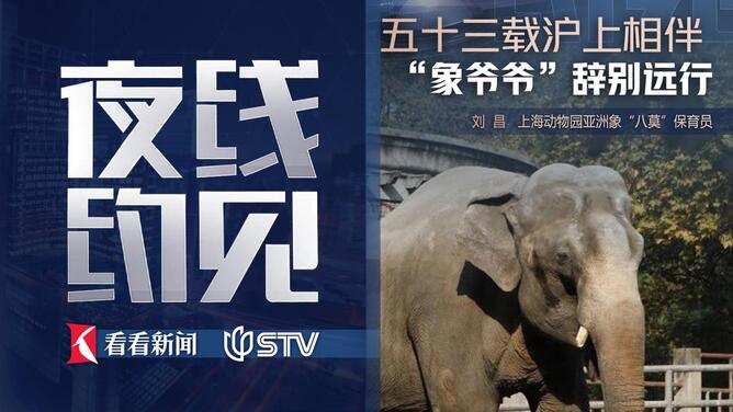 夜线约见：五十三载沪上相伴，“象爷爷”辞别远行