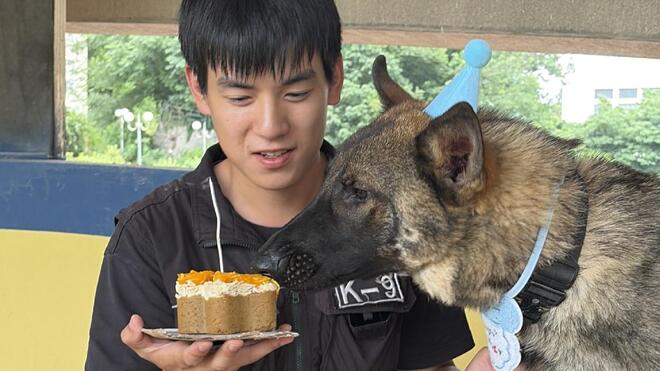 一岁警犬布丁成长实录！3个月蜕变备战考核