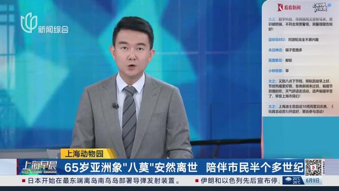 上海动物园 65岁亚洲象“八莫”安然离世 陪伴市民半个多世纪