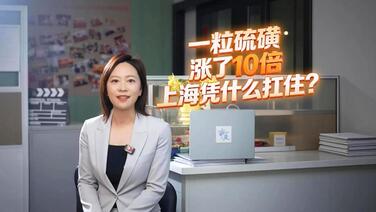 申一度|一粒硫磺涨了10倍 上海凭什么扛住?