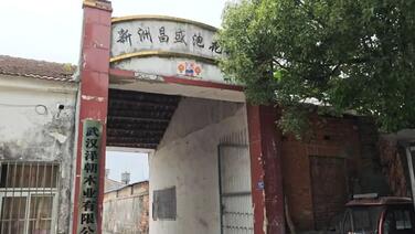 武汉通报“昌盛泡花碱厂环境问题”调查处理结果