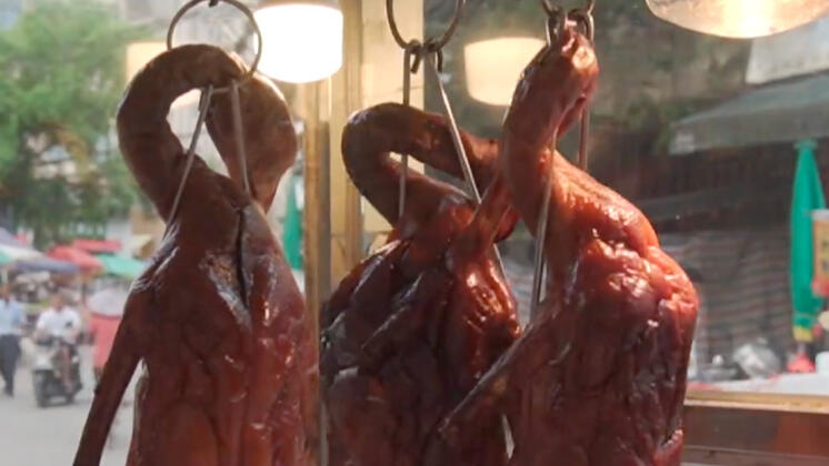 女子以鸭肉冒充鹅肉销售 涉案22万余元 法院判了