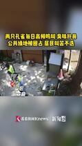 恶臭!上海一别墅区传出高频尖叫,居民不堪其扰…