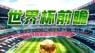 2026年美加墨世界杯多项“之最”