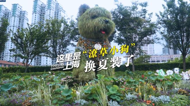 这里是上海｜“潦草小狗” 换夏装了
