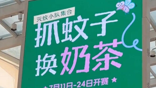 抓10只蚊子就能换一杯奶茶？活的死的全都收！