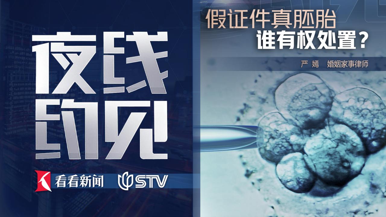 夜线约见：假证件真胚胎，谁有权处置？
