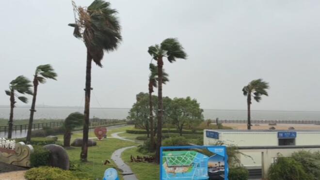 “白海豚”西进 上海暴雨超长待机 成因全解读