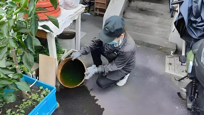 除积水清环境灭成蚊 上海全市启动第六轮控蚊虫行动